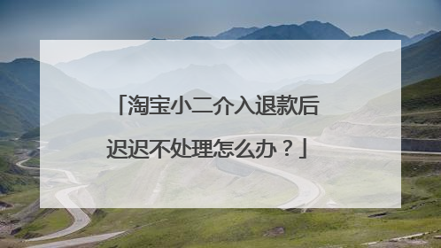 淘宝小二介入退款后迟迟不处理怎么办?