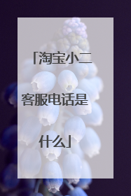 淘宝小二客服电话是什么