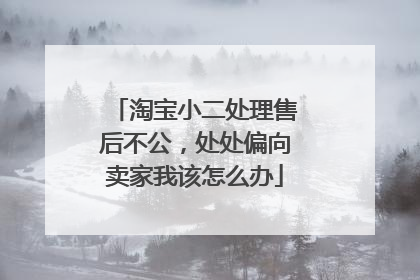 淘宝小二处理售后不公,处处偏向卖家我该怎么办