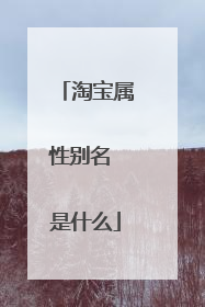 淘宝属性别名 是什么