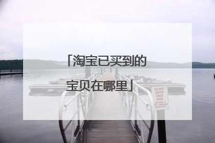 淘宝已买到的宝贝在哪里