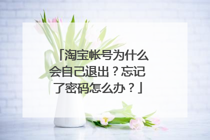 淘宝帐号为什么会自己退出?忘记了密码怎么办?