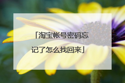 淘宝帐号密码忘记了怎么找回来