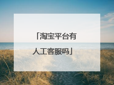淘宝平台有人工客服吗