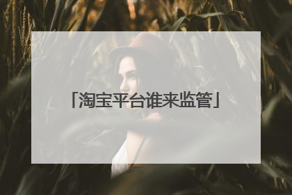 淘宝平台谁来监管