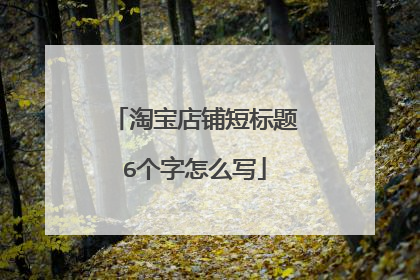 淘宝店铺短标题6个字怎么写