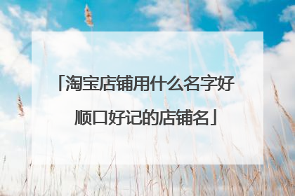 淘宝店铺用什么名字好  顺口好记的店铺名