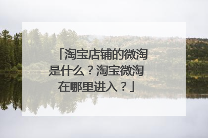 淘宝店铺的微淘是什么?淘宝微淘在哪里进入?