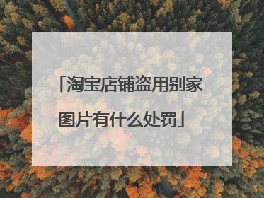 淘宝店铺盗用别家图片有什么处罚