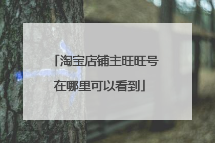 淘宝店铺主旺旺号在哪里可以看到