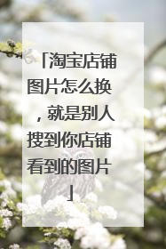 淘宝店铺图片怎么换,就是别人搜到你店铺看到的图片