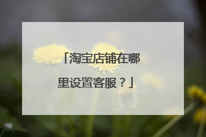 淘宝店铺在哪里设置客服？