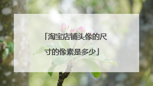 淘宝店铺头像的尺寸的像素是多少
