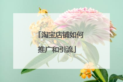 淘宝店铺如何推广和引流