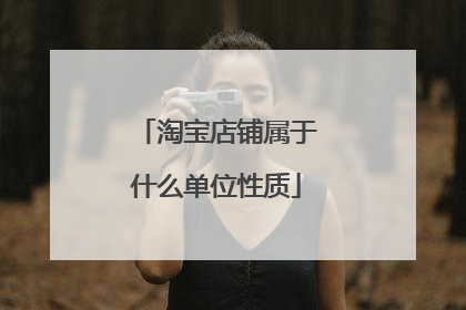 淘宝店铺属于什么单位性质