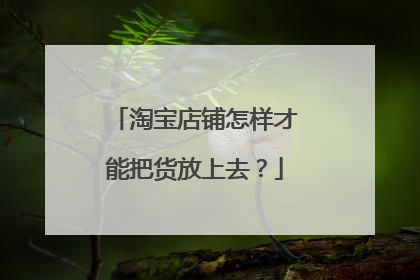 淘宝店铺怎样才能把货放上去?