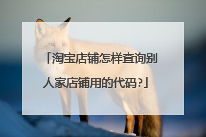 淘宝店铺怎样查询别人家店铺用的代码?