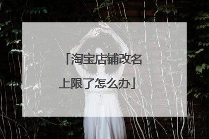 淘宝店铺改名上限了怎么办