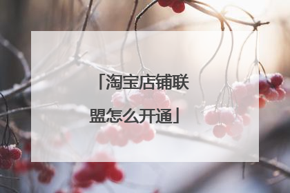 淘宝店铺联盟怎么开通