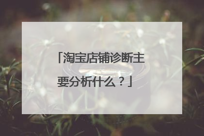 淘宝店铺诊断主要分析什么？