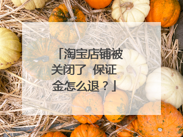 淘宝店铺被关闭了 保证金怎么退？