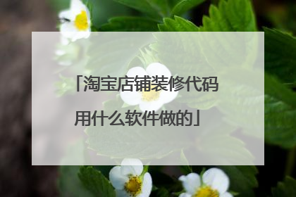 淘宝店铺装修代码用什么软件做的
