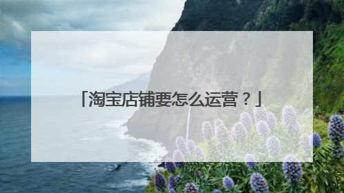 淘宝店铺要怎么运营？