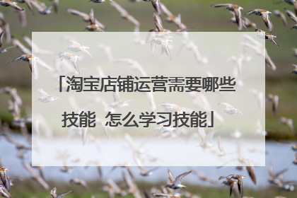 淘宝店铺运营需要哪些技能 怎么学习技能