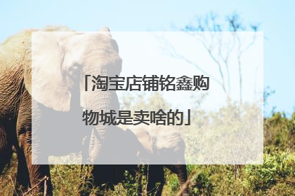 淘宝店铺铭鑫购物城是卖啥的