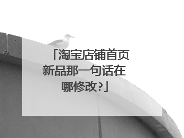 淘宝店铺首页新品那一句话在哪修改?