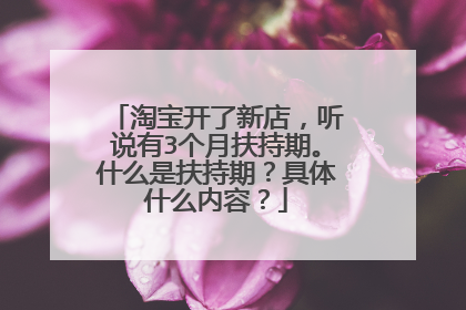 淘宝开了新店,听说有3个月扶持期。什么是扶持期?具体什么内容?