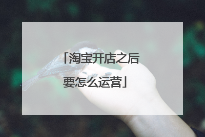淘宝开店之后要怎么运营