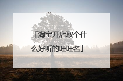 淘宝开店取个什么好听的旺旺名