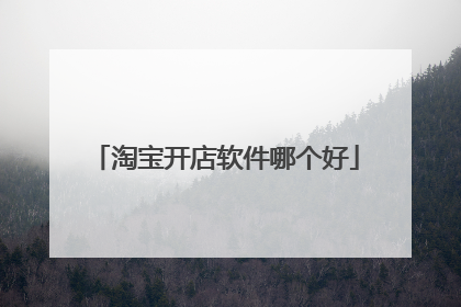 淘宝开店软件哪个好