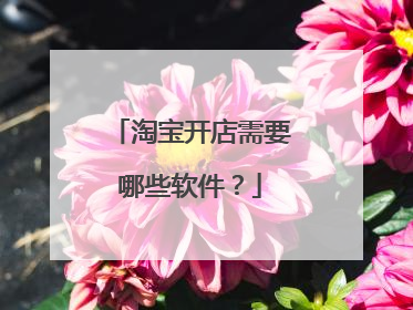 淘宝开店需要哪些软件?