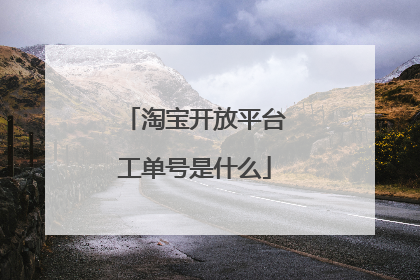 淘宝开放平台工单号是什么