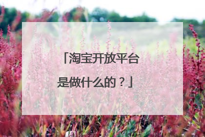 淘宝开放平台是做什么的?