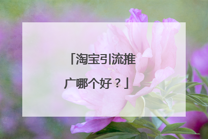 淘宝引流推广哪个好?