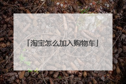 淘宝怎么加入购物车