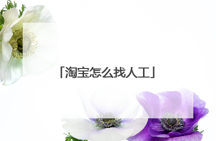 淘宝怎么找人工