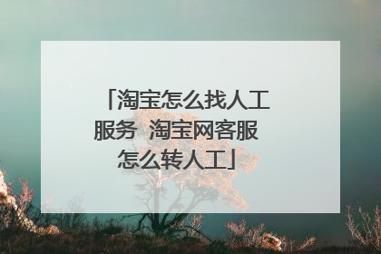 淘宝怎么找人工服务 淘宝网客服怎么转人工