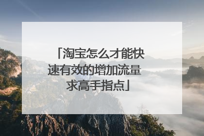 淘宝怎么才能快速有效的增加流量 求高手指点