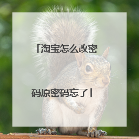 淘宝怎么改密码原密码忘了