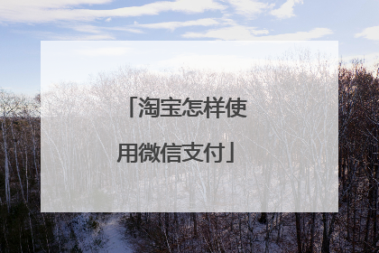 淘宝怎样使用微信支付