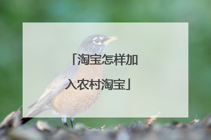 淘宝怎样加入农村淘宝