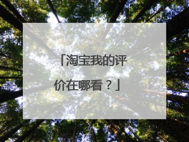 淘宝我的评价在哪看？