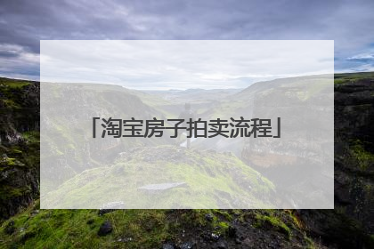 淘宝房子拍卖流程