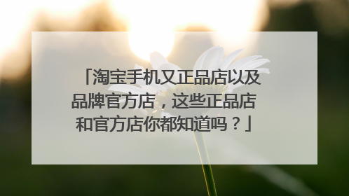 淘宝手机又正品店以及品牌官方店,这些正品店和官方店你都知道吗?