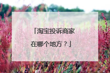 淘宝投诉商家在哪个地方?