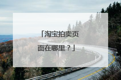 淘宝拍卖页面在哪里？
